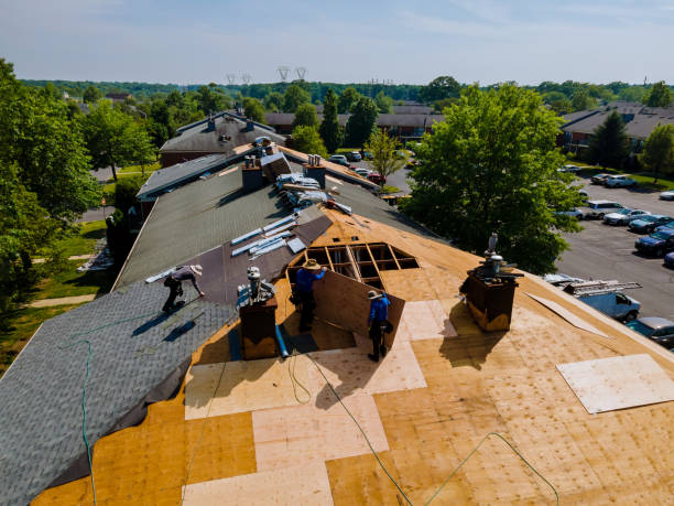 Roof Gutter Cleaning in Highland, CA